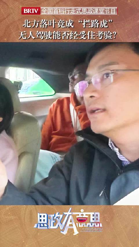 北方落叶竟成“拦路虎”？无人驾驶能否经受住考验？