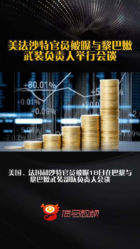 美法沙特官员被曝与黎巴嫩武装负责人举行会谈