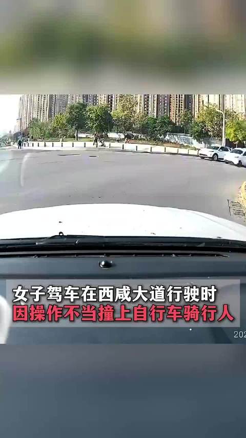 丈夫全程喊“刹车”妻子仍撞上骑自行车男子，被撞人经抢救无效死亡，交警披露事故细节