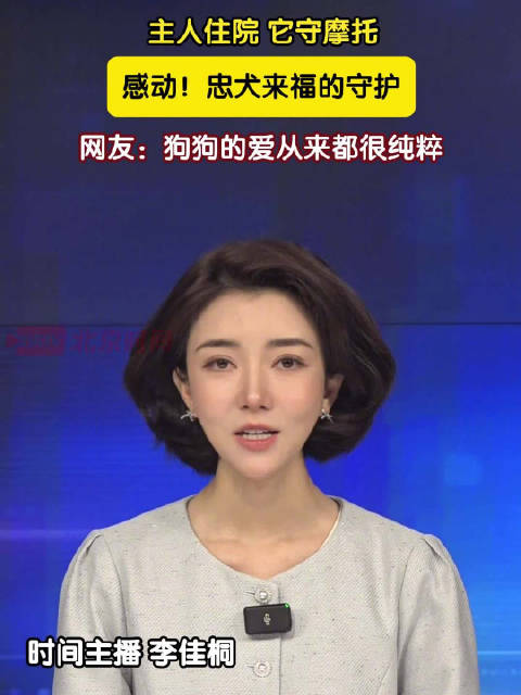 感动！忠犬来福的守护