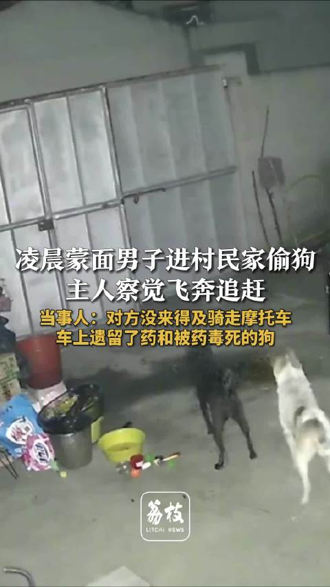 男子带毒药进村民家偷狗男子偷狗被察觉弃车而逃