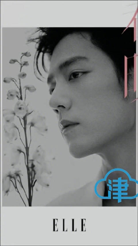 肖战三登ELLE开年刊创纪录，四季流转大片展现多元角色