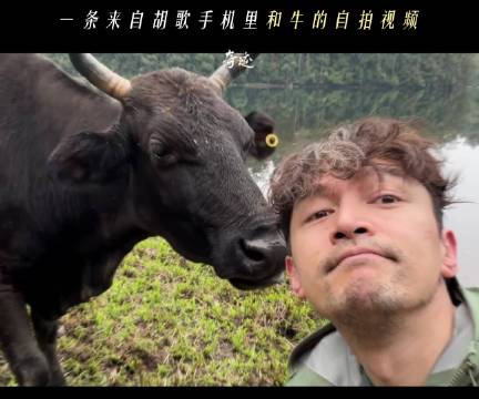 胡歌与牛牛自拍影像曝光，CCTV-1黄金档热播