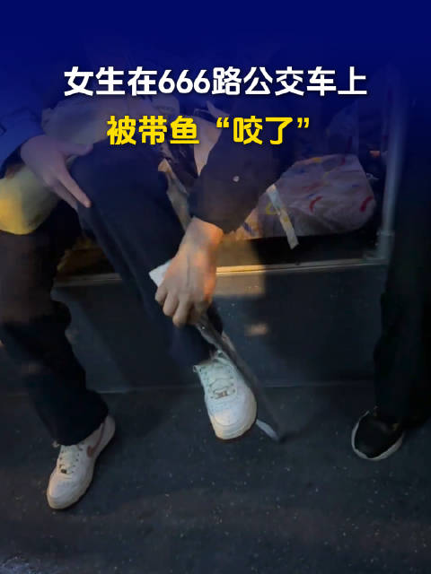 女生在666路公交车上被带鱼咬了