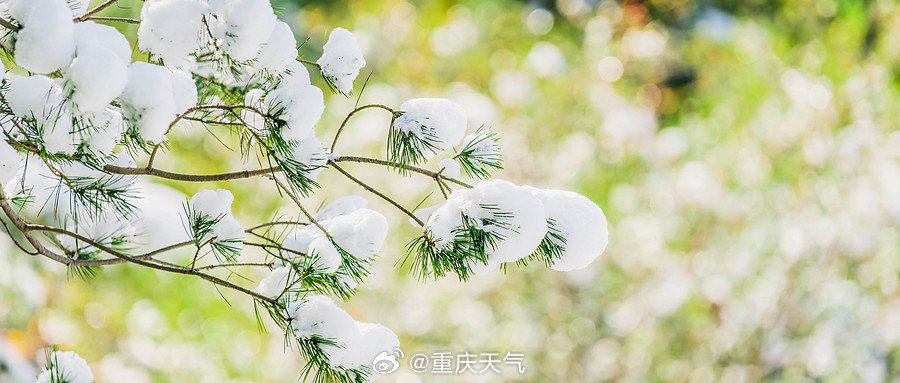 肖战堆的雪人倒了