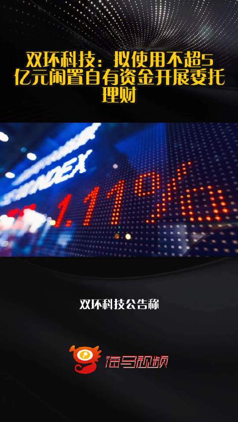 双环科技：拟使用不超5亿元闲置自有资金开展委托理财