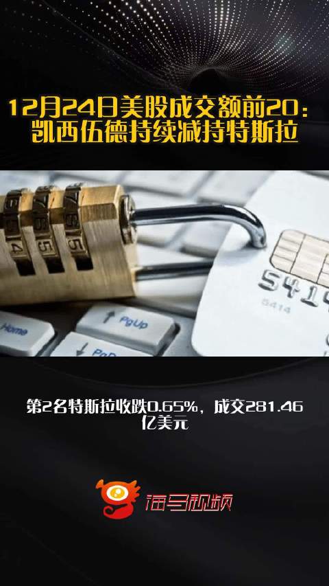 12月24日美股成交额前20：凯西伍德持续减持特斯拉