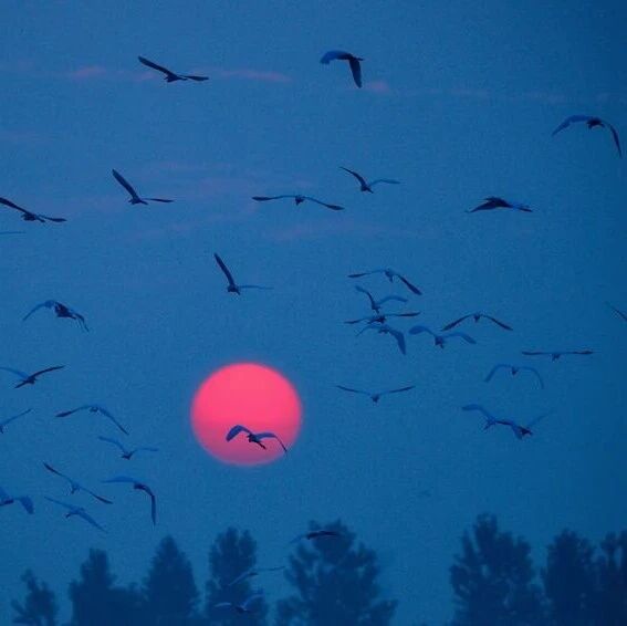 “数”动江淮 “智”绘新篇