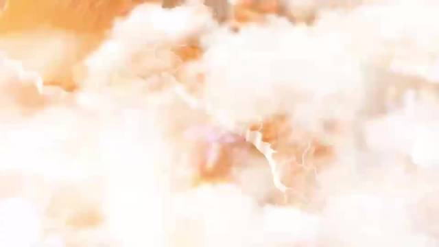 视频|金徽酒第七届五星拳王争霸赛圆满举办