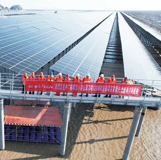 绿色金融绘就舟山海岛共富新图景