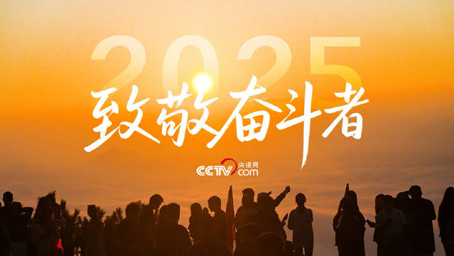 致敬奋斗的你：二〇二五年，化危机、闯难关、应变局，平凡的你、我、他