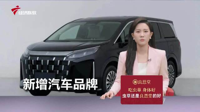 比亚迪再出手 中国车市又新增一个汽车品牌