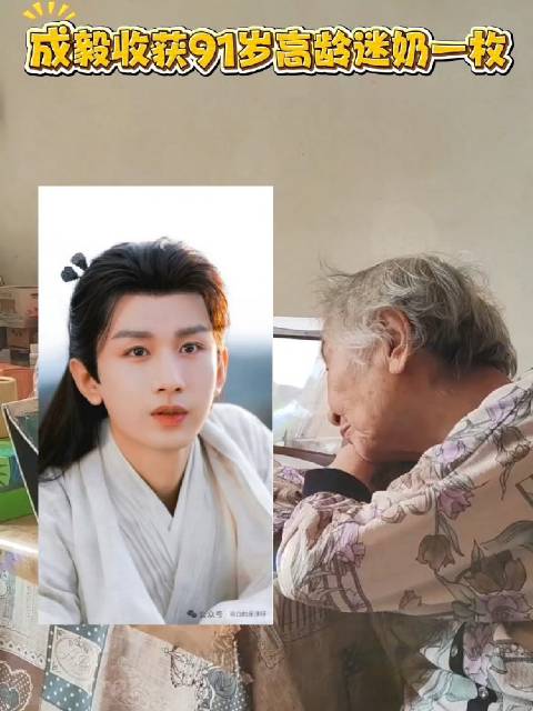 91岁我奶说成毅演什么像什么
