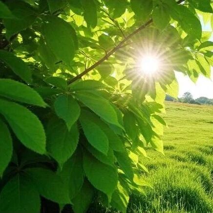 IIGF观点 |周洲、李泽卿：数据信用赋能供应链金融，助力中小企业公正转型融资——以汽车产业链为例