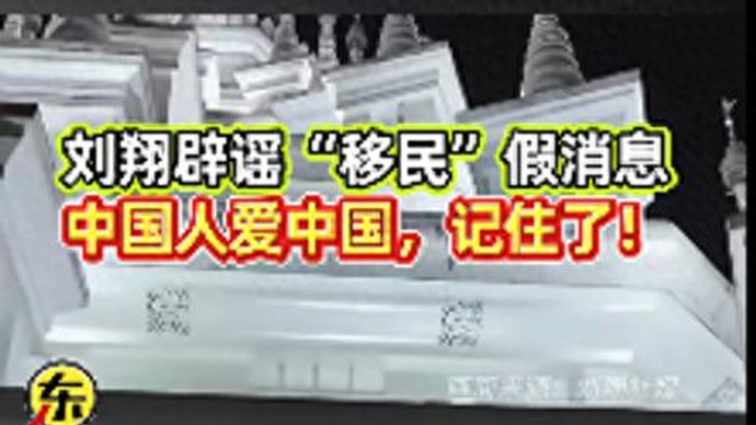 刘翔现身贵州回应移民传闻