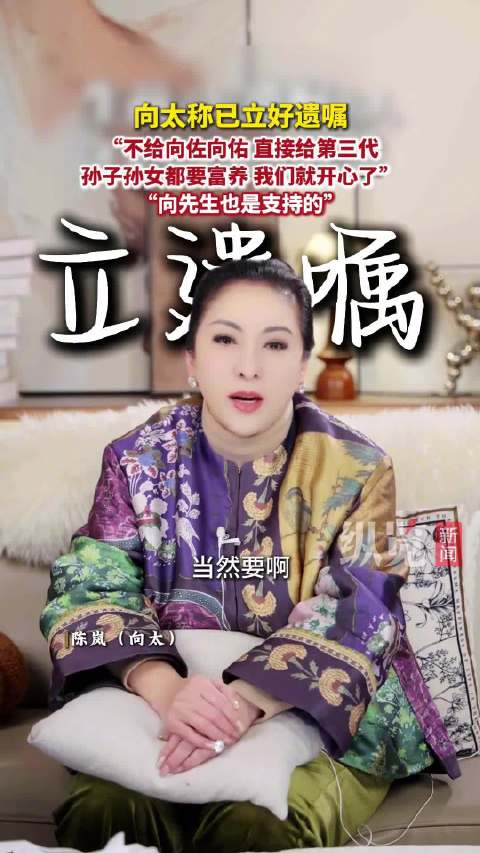 向太说遗产直接给孙女孙子