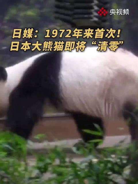 今天起日本没有大熊猫了