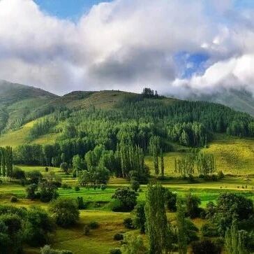 【碳•金融】湖北出台大力发展林业绿色金融措施