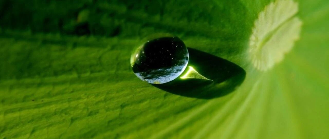 IIGF专刊 | 绿色债券2025年12月刊