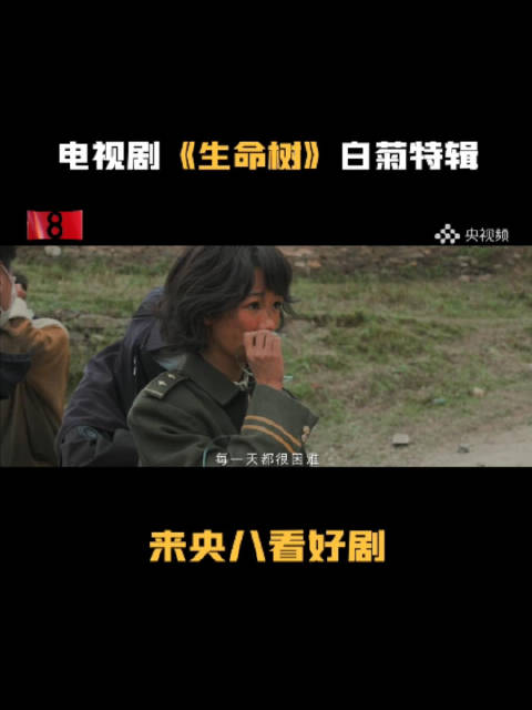 杨紫认为白菊很轴