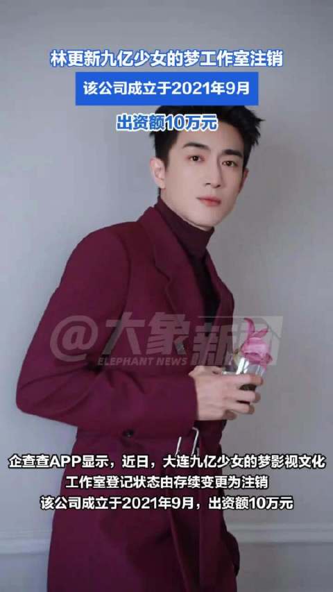 林更新个人独资工作室注销
