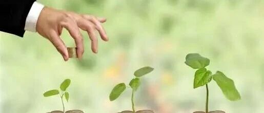 湖南省2025年绿色金融发展取得显著成效