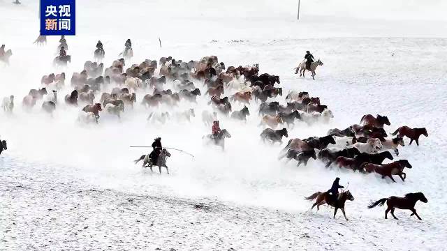 雪原策马！乌兰布统冬日“限定美景”上线