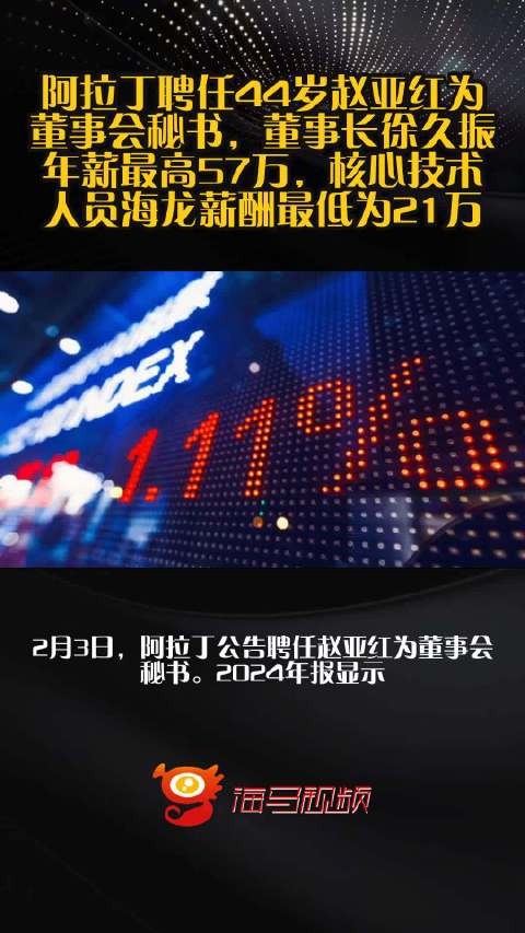 阿拉丁聘任44岁赵亚红为董事会秘书，董事长徐久振年薪最高57万，核心技术人员海龙薪酬最低为21万