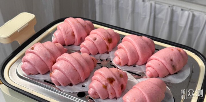 千元價位烹飪新寵？clara電蒸鍋好用嗎？_新浪眾測