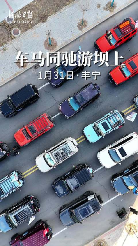 15秒看河北丨车马同驰游坝上