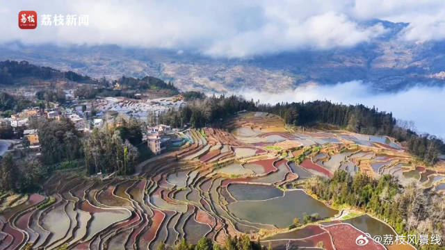 大地调色盘！云南哈尼梯田云雾缭绕五彩斑斓