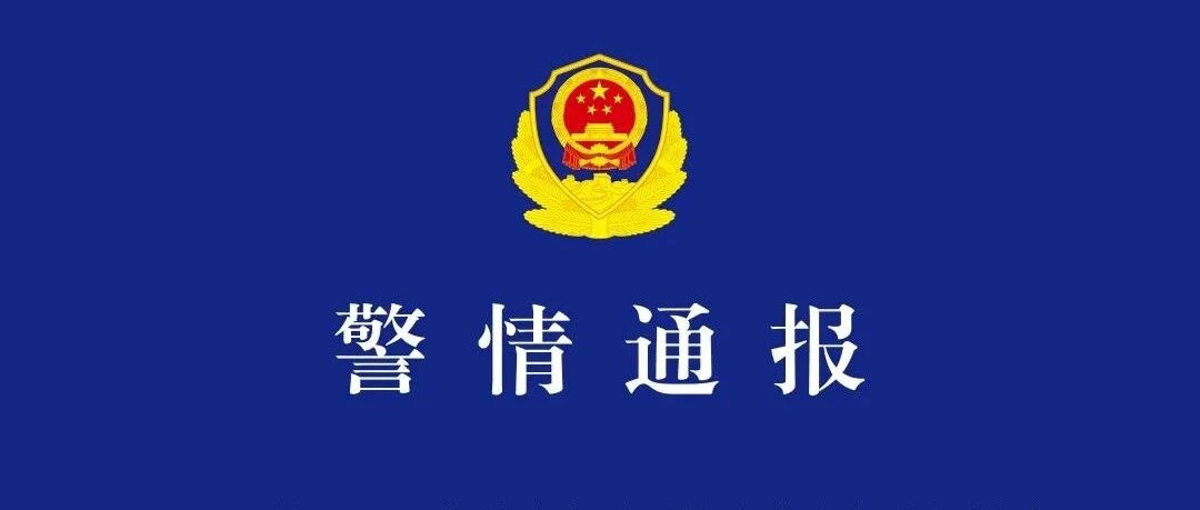 金晨被行政处罚，结果公开