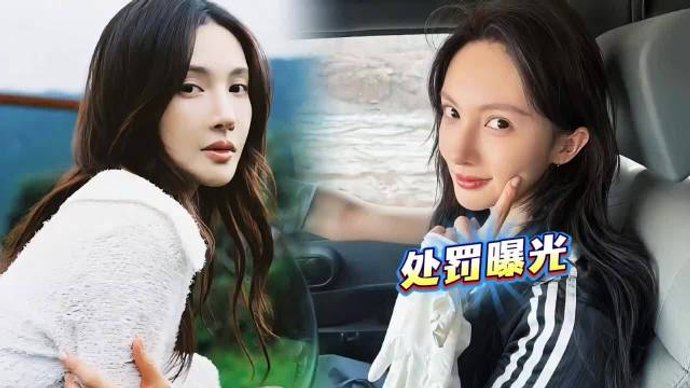 金晨肇事逃逸处罚结果惹争议