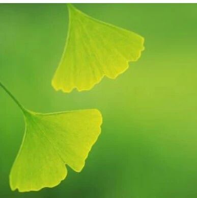 地方绿金 | 甘肃省金融重点领域贷款余额实现高增长