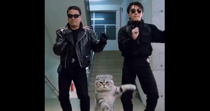 AI视频大量传播！周星驰经纪人质疑：平台不管吗？