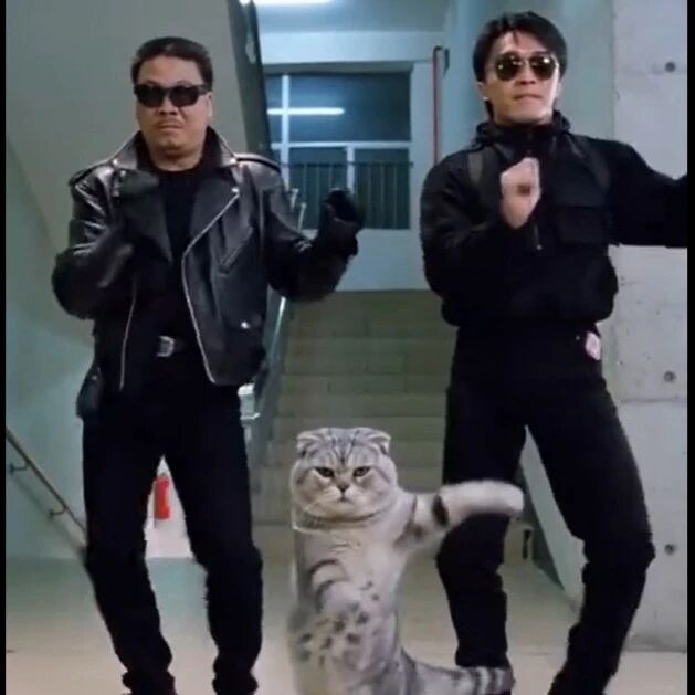 AI视频大量传播！周星驰经纪人质疑：平台不管吗？影视飓风连呼6次“恐怖”，字节跳动Seedance 2.0紧急暂停真人人脸上传