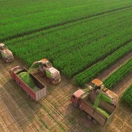 安徽省两会聚焦高水平建设“江淮粮仓”  共筑粮食安全新图景