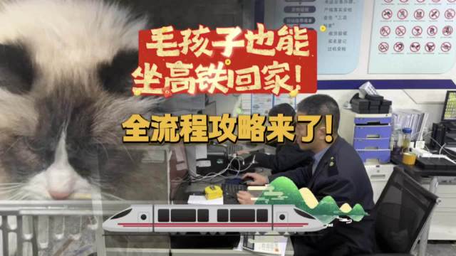 高铁宠物托运保姆级教程！把宠物带上高铁总共分几步