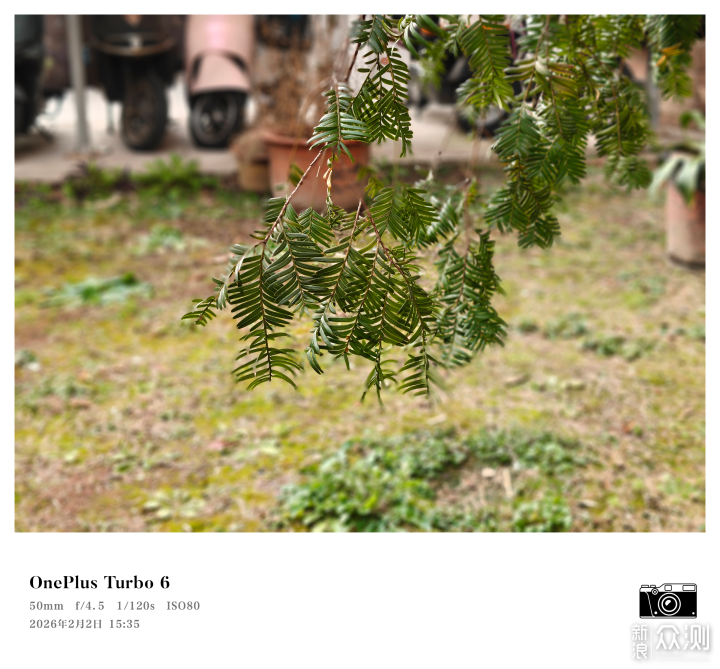 送長輩手機要什麼樣？2000元續航長性能強_新浪眾測