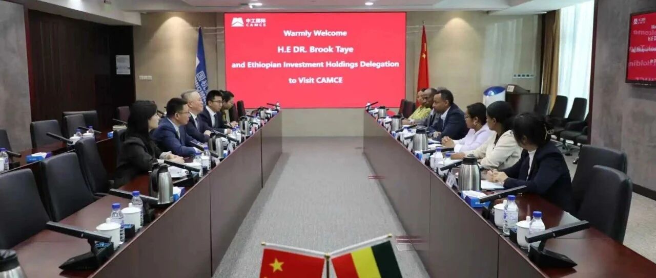 王博会见埃塞俄比亚投资控股公司总裁一行