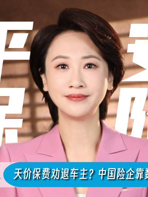 中国险企靠数据解出海困局