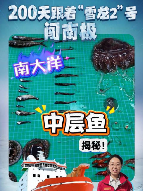 南大洋海底总动员来了