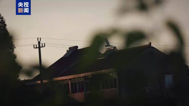 转发！央视新闻遥遥故乡MV上线