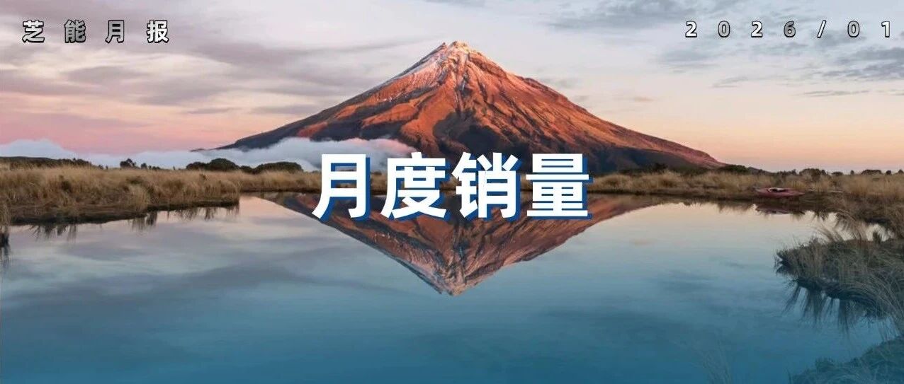 2026年1月汽车终端销量复盘