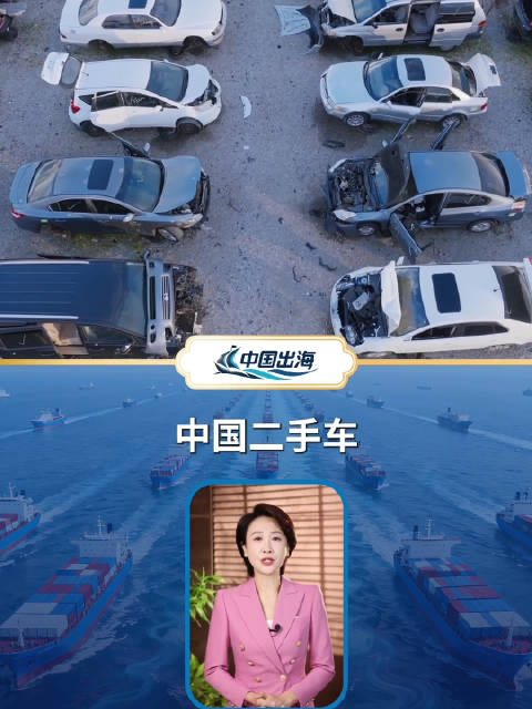 中国保险为出海汽车撑腰