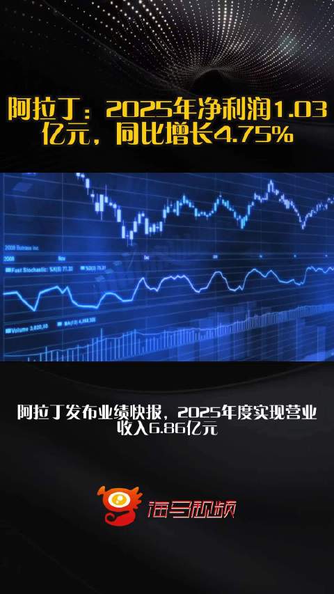 阿拉丁：2025年净利润1.03亿元，同比增长4.75%
