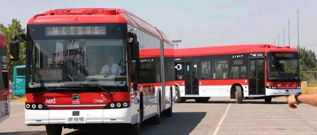 比亚迪：获2026年1月新能源客车出口冠军！