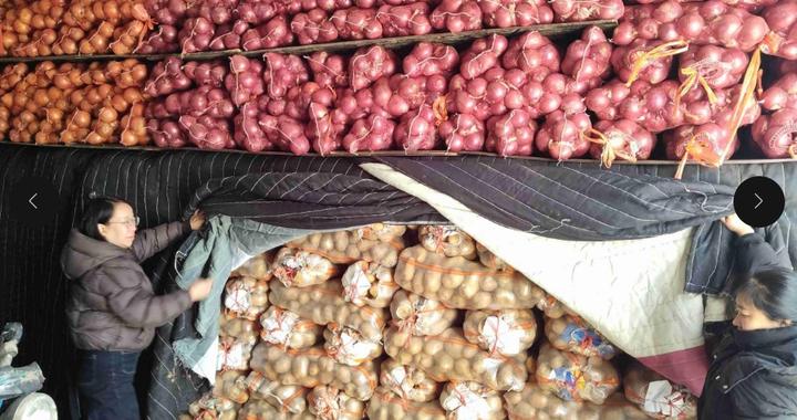 冷库里的“金融温度”：陕西榆林农商银行以普惠金融护航春节食材供应