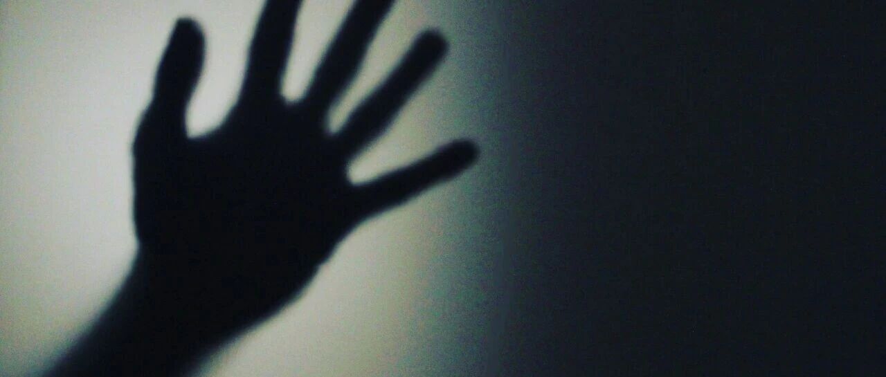 双良节能自作孽：“碰瓷”马斯克后证监会果断立案昨天开盘跌停！