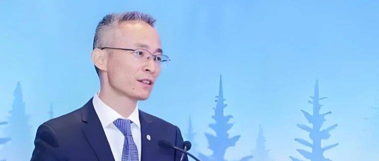 正式任命保险集团董事长！